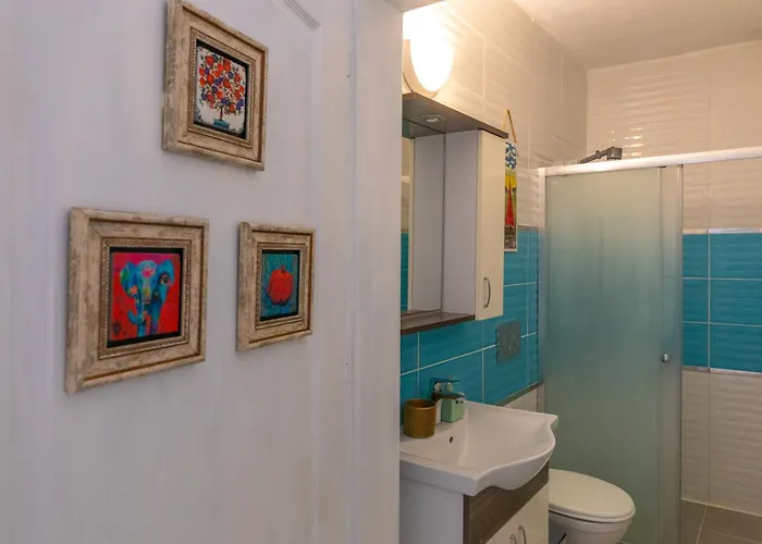 Gazde/Camere de închiriat Derin Mavi Butik *