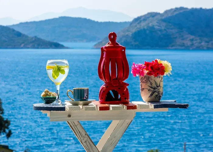 Δωμάτια σε οικογενειακή κατοικία Derin Mavi Butik Sogut (Aegean)